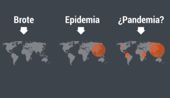 Brote, epidemia y pandemia